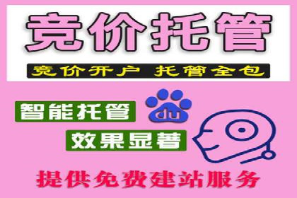互联网公司SEM代运营成功案例剖析